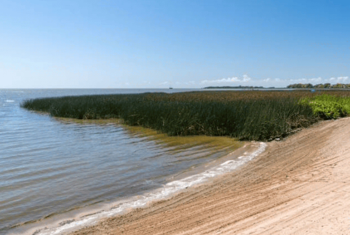 São Lourenço do Sul